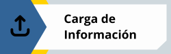 Carga Información Técnico Comercial